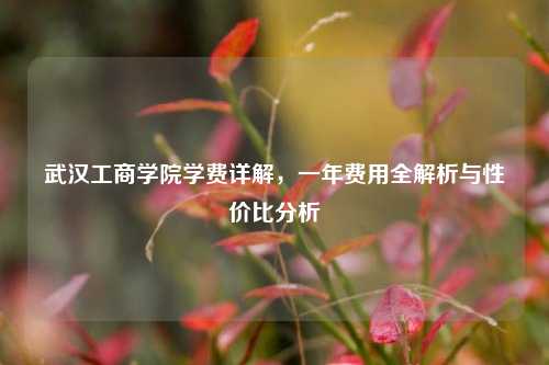 武汉工商学院学费详解，一年费用全解析与性价比分析