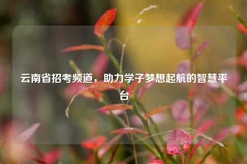 云南省招考频道，助力学子梦想起航的智慧平台