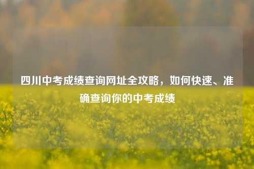 四川中考成绩查询网址全攻略，如何快速、准确查询你的中考成绩