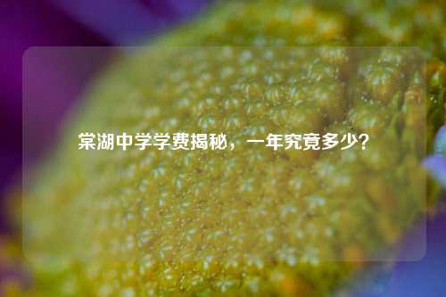 棠湖中学学费揭秘，一年究竟多少？