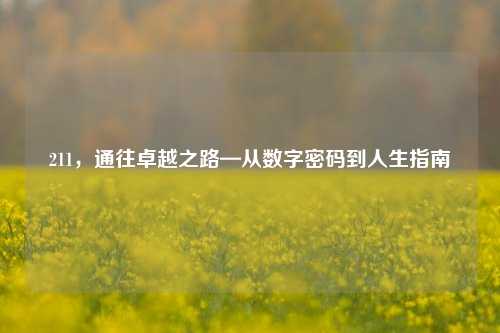 211，通往卓越之路—从数字密码到人生指南