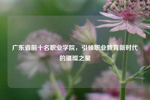 广东省前十名职业学院，引领职业教育新时代的璀璨之星