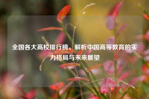 全国各大高校排行榜，解析中国高等教育的实力格局与未来展望
