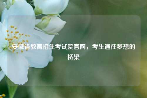 安徽省教育招生考试院官网，考生通往梦想的桥梁