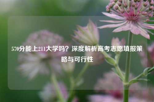 570分能上211大学吗？深度解析高考志愿填报策略与可行性
