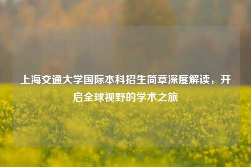 上海交通大学国际本科招生简章深度解读，开启全球视野的学术之旅
