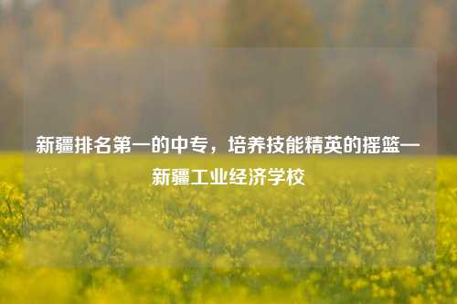 新疆排名第一的中专，培养技能精英的摇篮—新疆工业经济学校