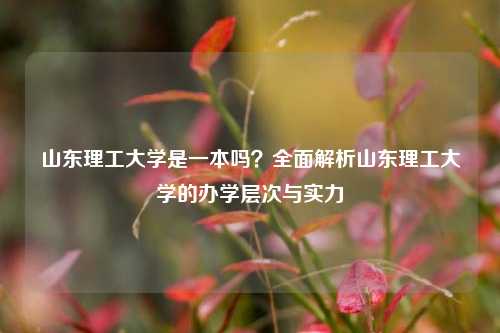 山东理工大学是一本吗？全面解析山东理工大学的办学层次与实力