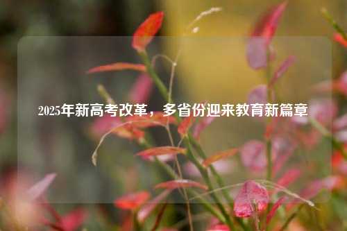 2025年新高考改革，多省份迎来教育新篇章