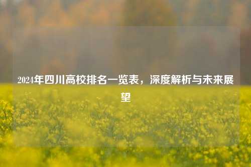 2024年四川高校排名一览表，深度解析与未来展望