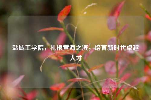 盐城工学院，扎根黄海之滨，培育新时代卓越人才