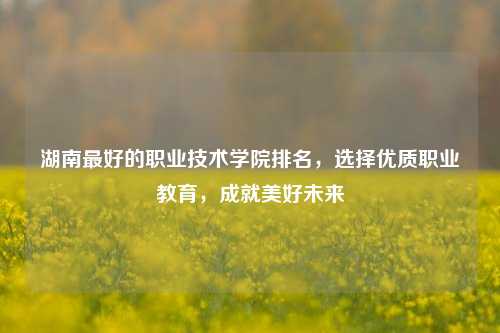 湖南最好的职业技术学院排名，选择优质职业教育，成就美好未来