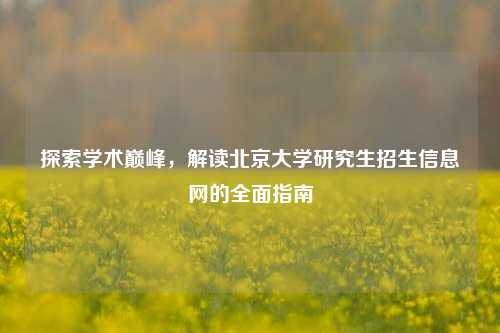 探索学术巅峰，解读北京大学研究生招生信息网的全面指南