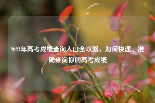 2021年高考成绩查询入口全攻略，如何快速、准确查询你的高考成绩