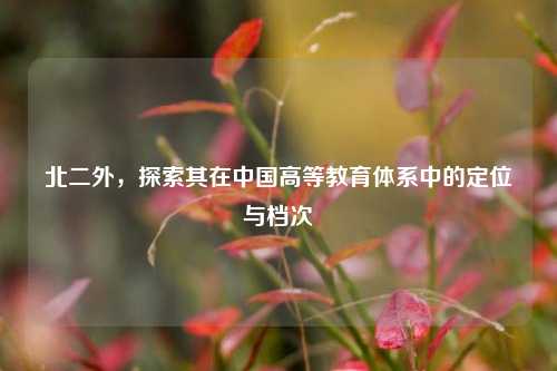 北二外，探索其在中国高等教育体系中的定位与档次