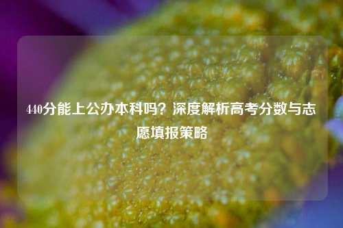 440分能上公办本科吗？深度解析高考分数与志愿填报策略