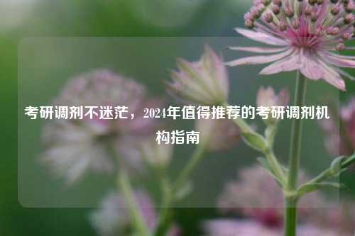 考研调剂不迷茫，2024年值得推荐的考研调剂机构指南