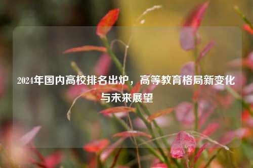 2024年国内高校排名出炉，高等教育格局新变化与未来展望