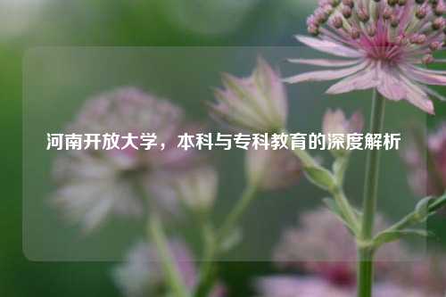 河南开放大学，本科与专科教育的深度解析