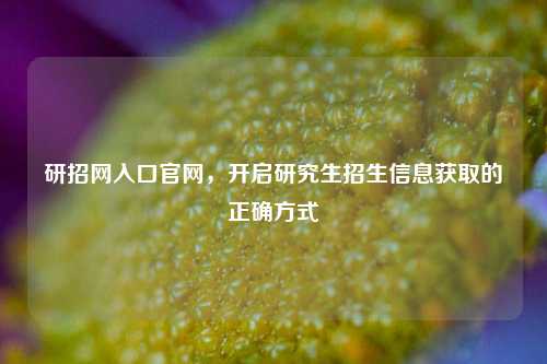 研招网入口官网，开启研究生招生信息获取的正确方式